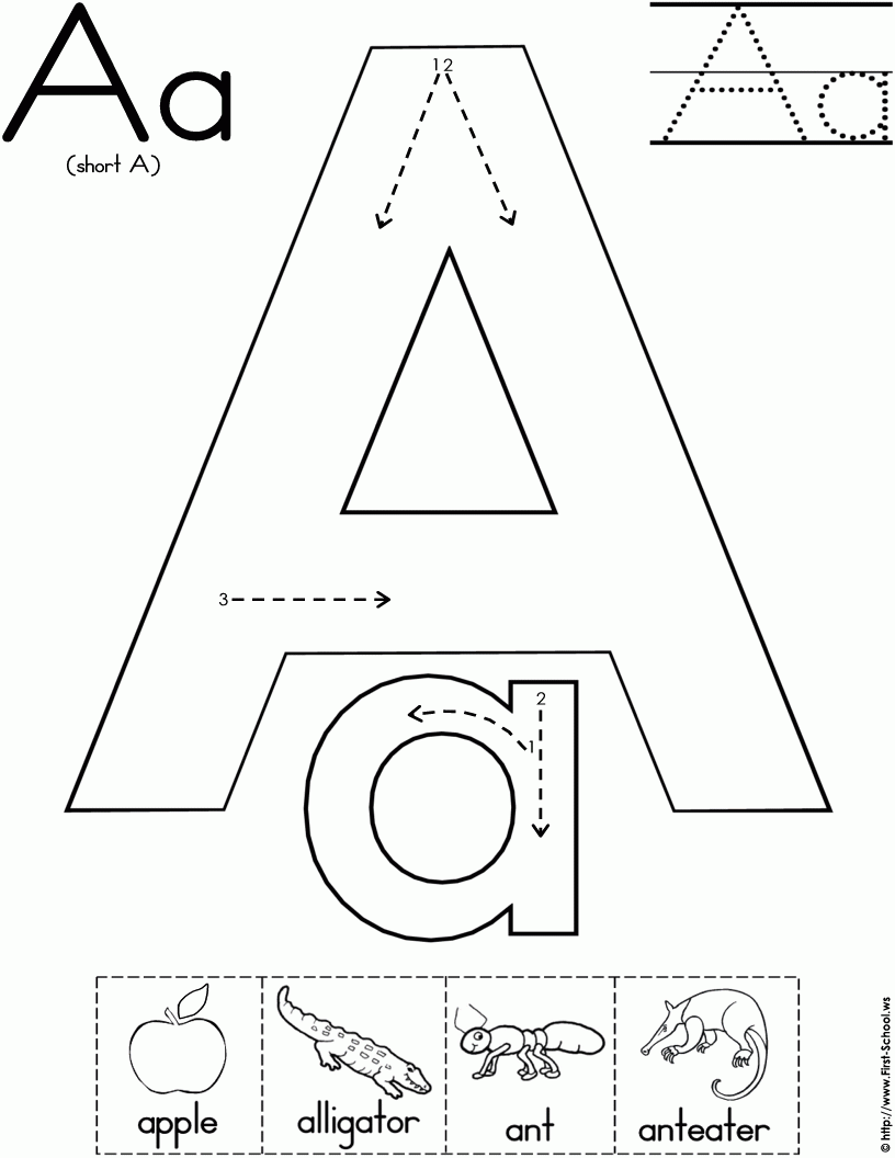 Alphabet Worksheets Mini books And Activities Letter A