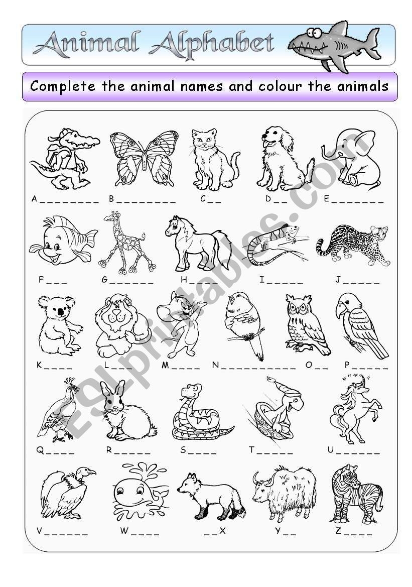 Animal Alphabet BW Key ESL Worksheet By Funki