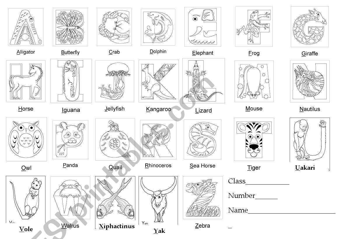 Animal Alphabet ESL Worksheet By Lillien945
