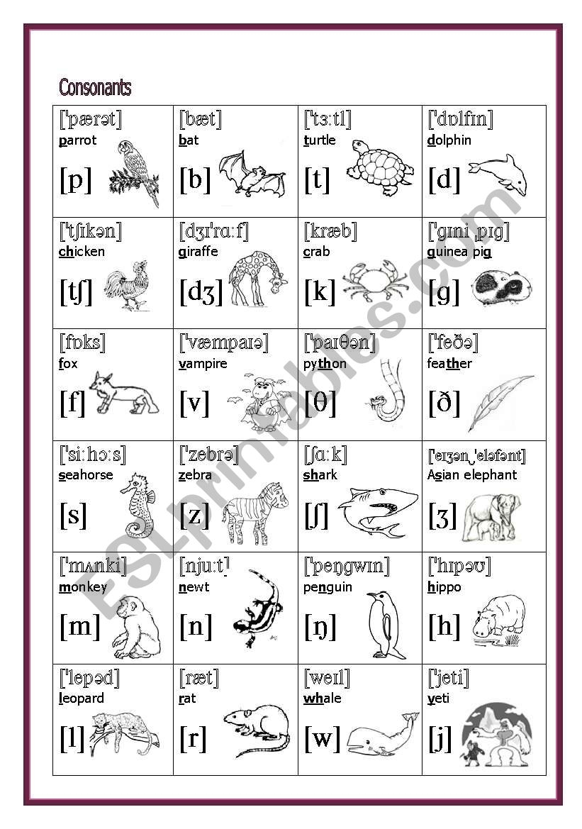 The International Phonetic Alphabet English Sounds 2 2 