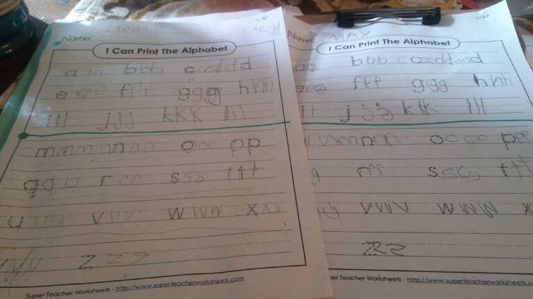 Using Super Teacher Worksheets In Your Homeschool Review